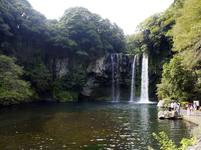 河南青旅