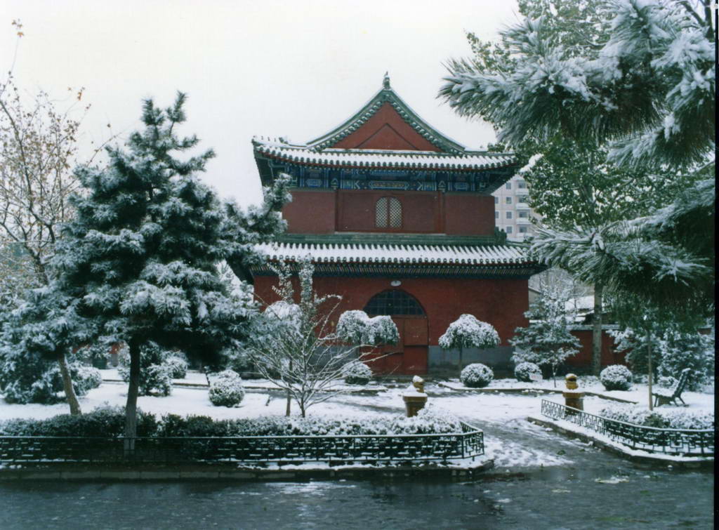 郑州青旅