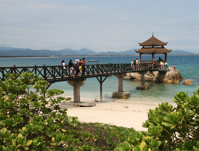 河南省青旅