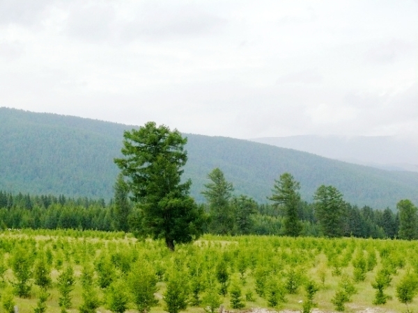 郑州旅行社,河南旅行社,河南中青旅