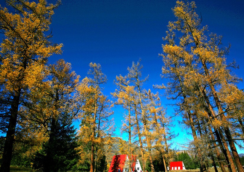 郑州旅行社,河南旅行社,河南中青旅