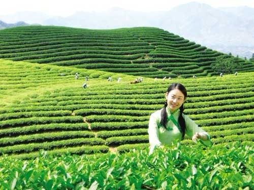 郑州旅行社,河南旅行社,河南中青旅