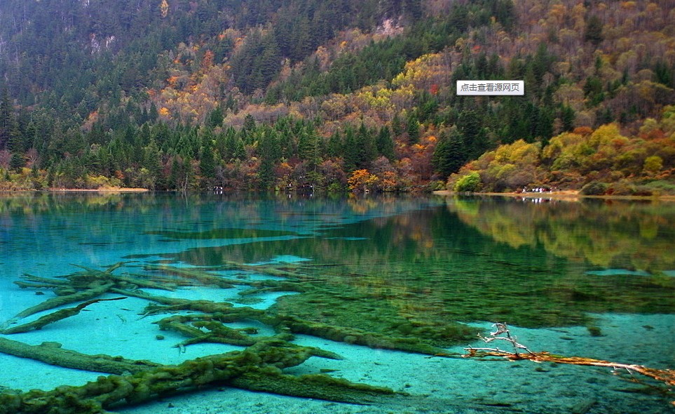 郑州旅行社,河南旅行社,河南中青旅