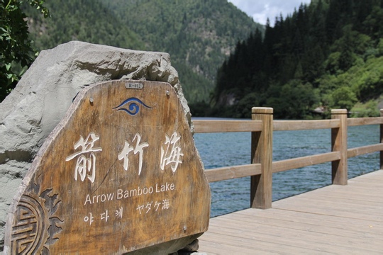 郑州青旅,河南青旅,郑州中青旅,九 寨 沟箭竹海