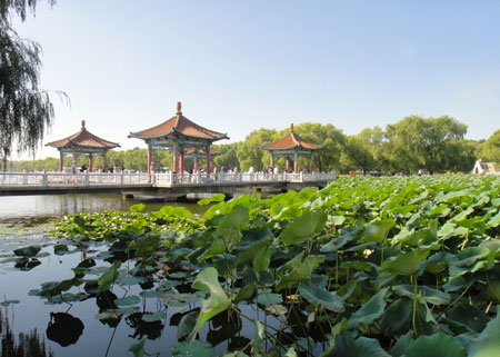 河南旅行社,河南jrs直播nba乐吧_雷速体育很卡_jrs游戏直播公司,东 北长 春
