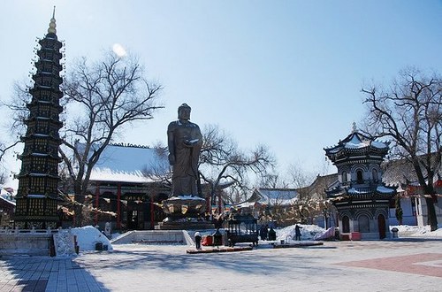 河南中青旅,郑州中青旅,东 北哈 尔滨