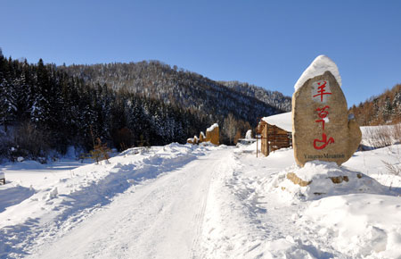 河南青年旅行社,郑州旅行社,东 北雪 乡