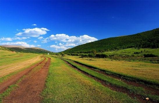 河南青年旅社,郑州中青旅,河 北坝 上 草原