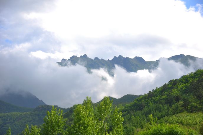 河南青年旅行社,郑州旅行社,河 北坝 上草原