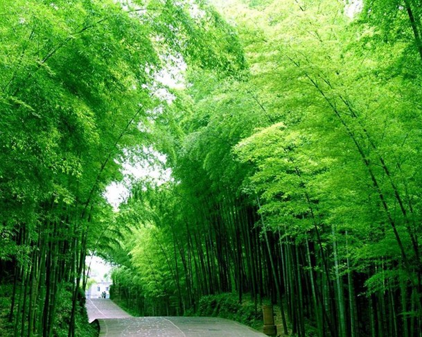 郑州中青旅行社,郑州jrs直播nba乐吧_雷速体育很卡_jrs游戏直播公司,山 东日 照