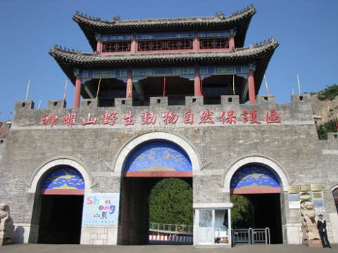 河南中青旅,郑州旅行社,山 东威 海