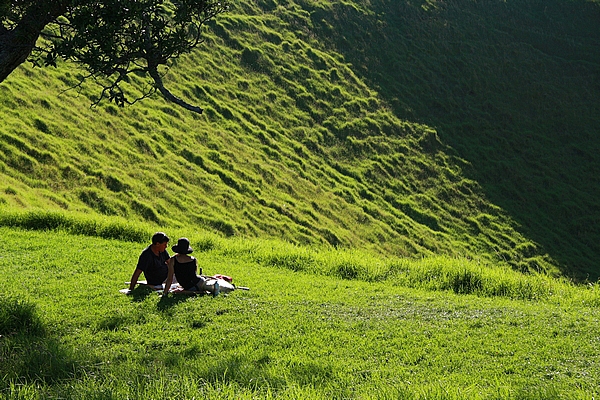 郑州中青旅,郑州青旅,河南青旅,新 西兰奥克兰伊甸山