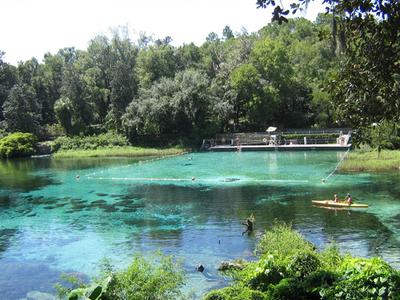 郑州青旅,河南青旅,郑州旅行社,新 西兰普里奥拉森林公园