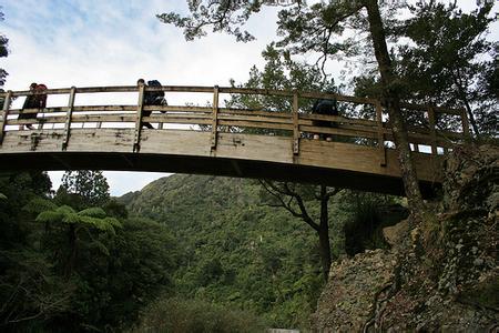 郑州青旅,郑州中青旅,河南中青旅,新 西兰瑞姆塔卡森林公园
