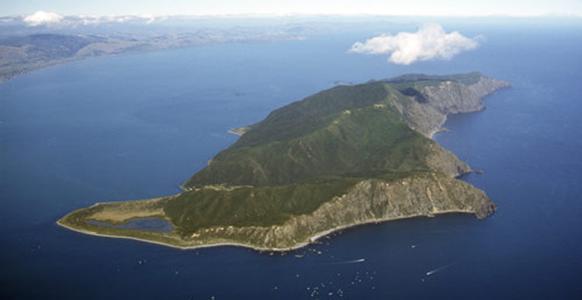 郑州中青旅,郑州青旅,河南青旅,河南中青旅,新 西兰卡皮蒂岛自然保护区