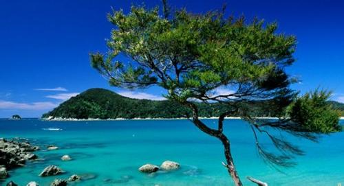 郑州中青旅,河南中青旅,郑州青旅,新 西兰亚伯塔斯曼国家公园