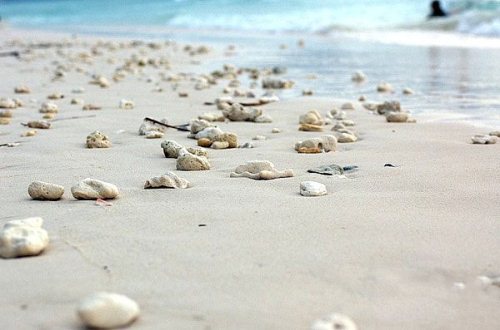 河南中青旅,郑州中青旅,长 滩岛