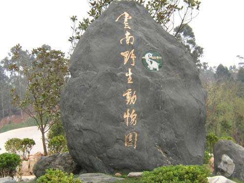 河南中青旅,郑州青旅,云 南
