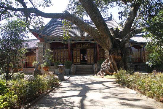 河南中青旅,郑州jrs直播nba乐吧_雷速体育很卡_jrs游戏直播公司,大 理