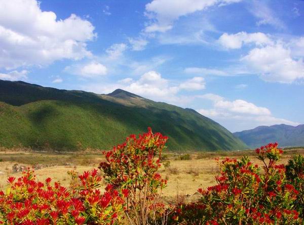 河南中青旅,郑州青旅,大 理