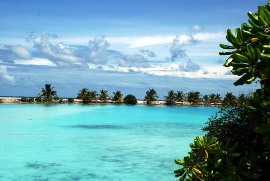 河南青旅,郑州青旅,马尔 代夫