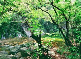 伊河漂流+老君山两日游