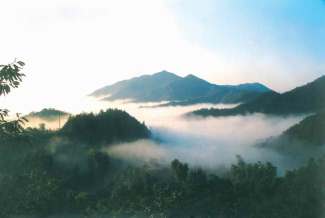 老君山、伏牛山滑雪二日游