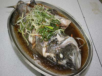河南省青旅