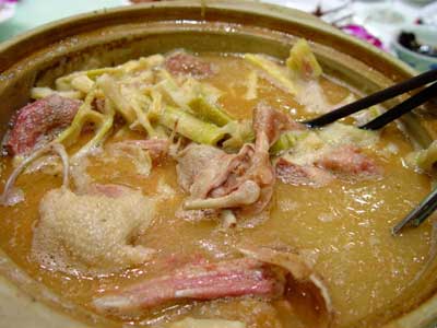 郑州青旅