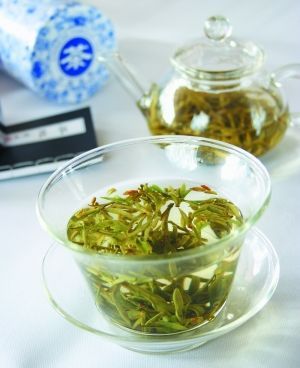 郑州青旅