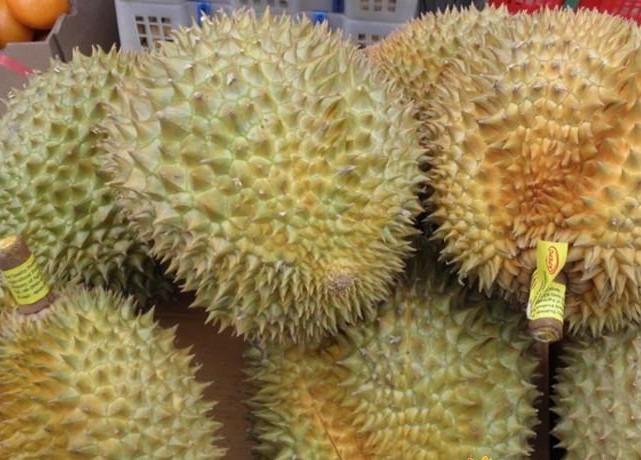 郑州旅行社,河南旅行社,河南中青旅