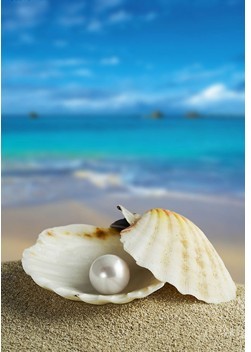郑州青旅
