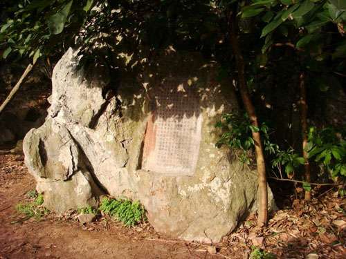 郑州青旅