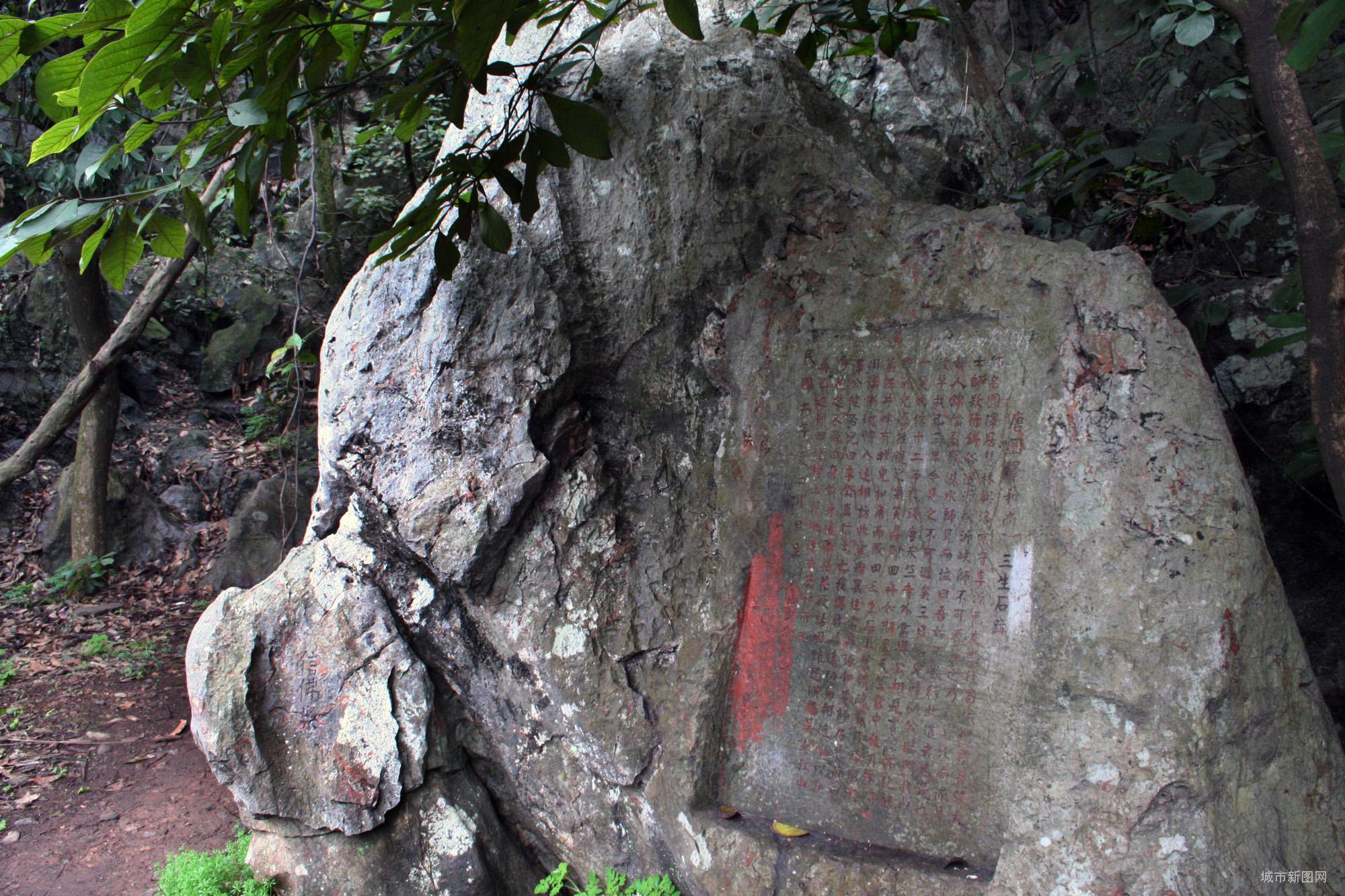 郑州青旅