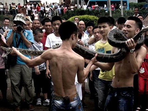 郑州旅行社,河南旅行社,河南中青旅,郑州jrs直播nba乐吧_雷速体育很卡_jrs游戏直播公司,河南jrs直播nba乐吧_雷速体育很卡_jrs游戏直播公司